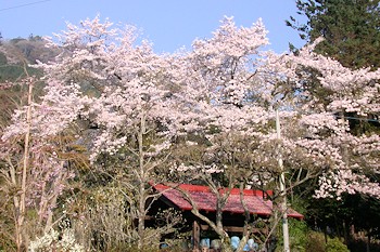 あきる野市の風景