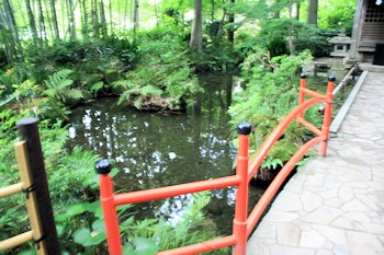 国分寺市の風景