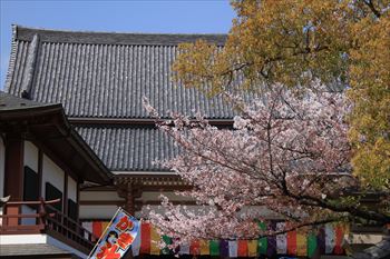 西新井大師の風景