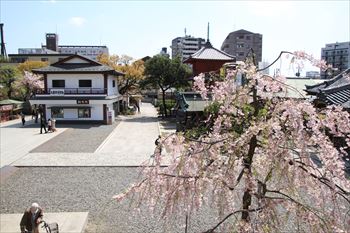 西新井大師の風景