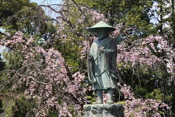 西新井大師の風景