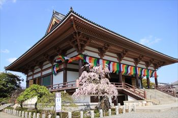西新井大師の風景