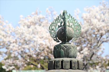 西新井大師の風景