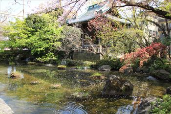 西新井大師の風景