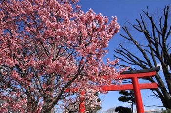 石濱神社の風景