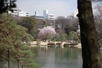 六義園の風景