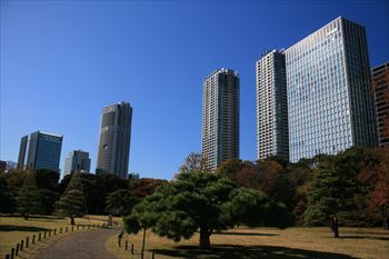 浜離宮庭園の風景