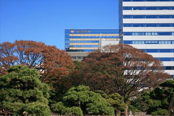 浜離宮庭園の風景