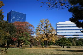 浜離宮庭園の風景