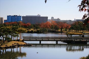 浜離宮庭園の風景