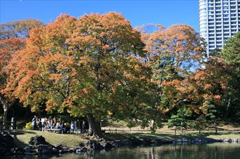 浜離宮庭園の風景