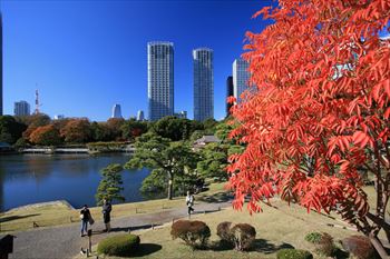 浜離宮庭園の風景