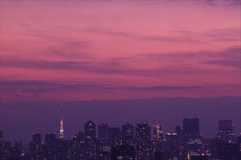 船堀タワーホールの風景