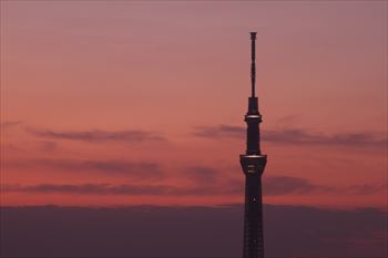 船堀タワーホールの風景