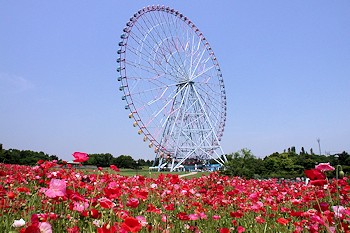 葛西臨海公園の画像