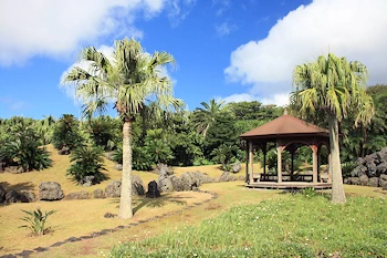 八丈植物公園の画像
