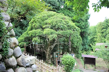幸神神社の画像