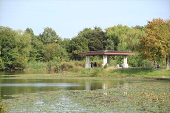 水元公園の風景