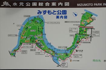 水元公園の風景