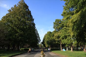水元公園の風景