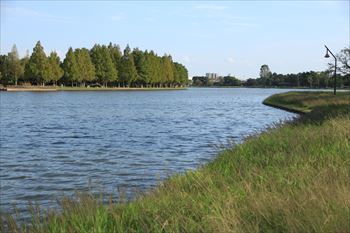 水元公園の風景