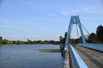 水元公園の風景