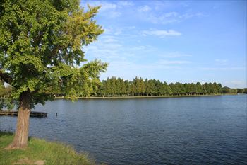 水元公園の風景