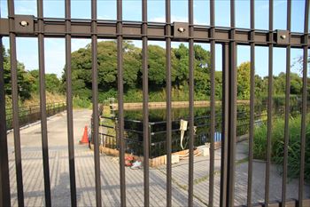 水元公園の風景