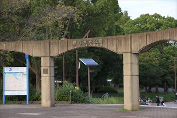 水元公園の風景