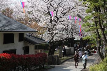 飛鳥山公園の風景
