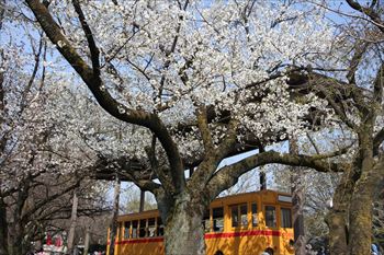 飛鳥山公園の風景