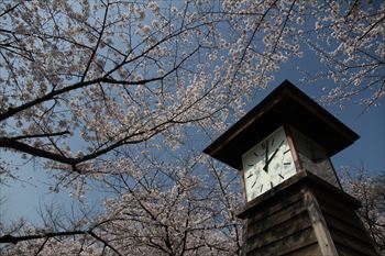 飛鳥山公園の風景