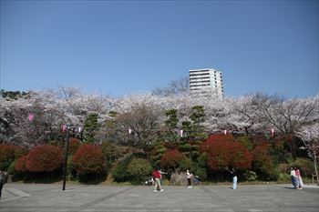 飛鳥山公園の風景