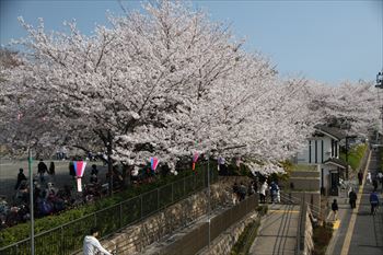 飛鳥山公園の風景