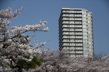 飛鳥山公園の風景
