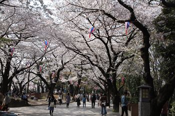 飛鳥山公園の風景