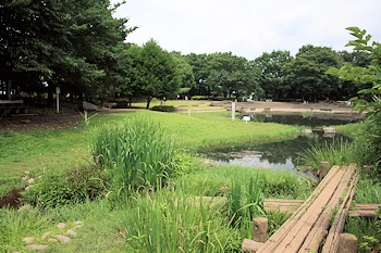 清瀬金山緑地公園の画像