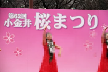 小金井公園の風景