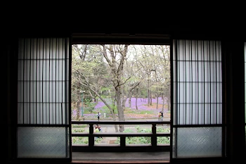 小金井公園の風景