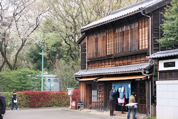 小金井公園の風景