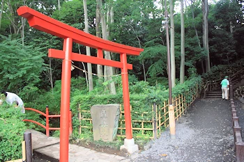 お鷹の道・真姿の池湧水群の画像