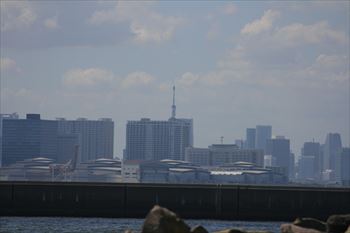 東京ゲートブリッジの風景