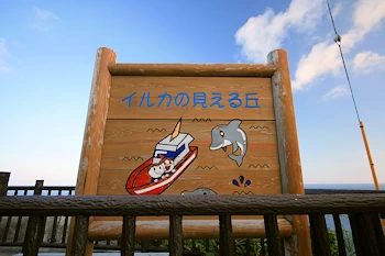 イルカの見える丘の画像