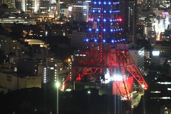 東京タワーの風景