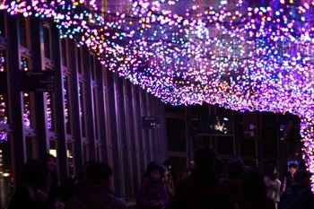 東京タワーの風景