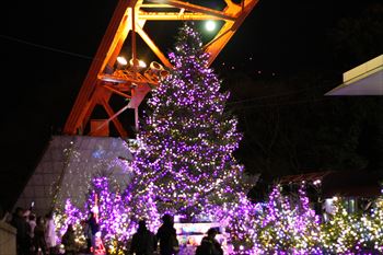 東京タワーの風景