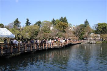 井の頭公園の風景