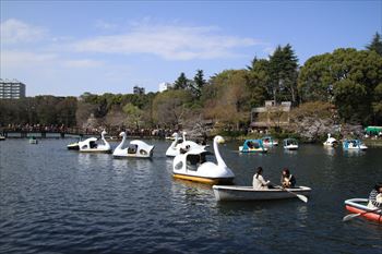 井の頭公園の風景