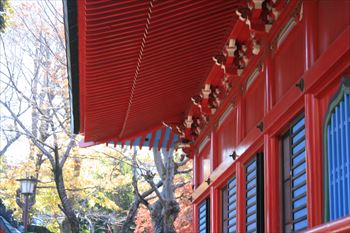 井の頭公園の風景