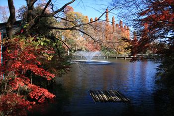 井の頭公園の風景